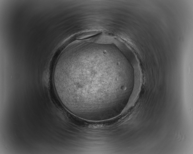 X0000088080440200705251411
