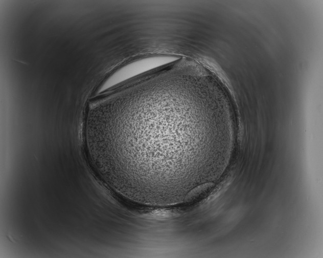 X0000088080441200705251411