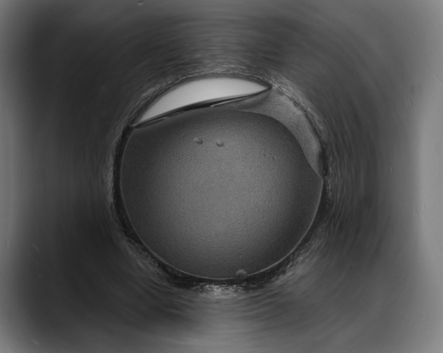 X0000088080442200705251411