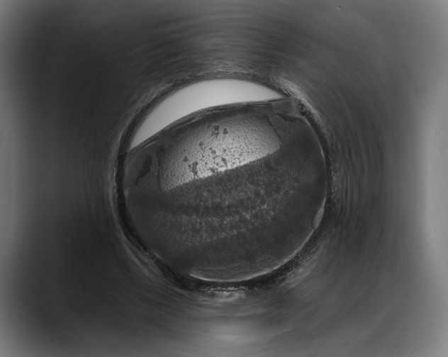 X0000088080443200705251411