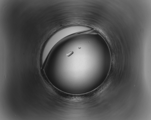 X0000088080445200705251411
