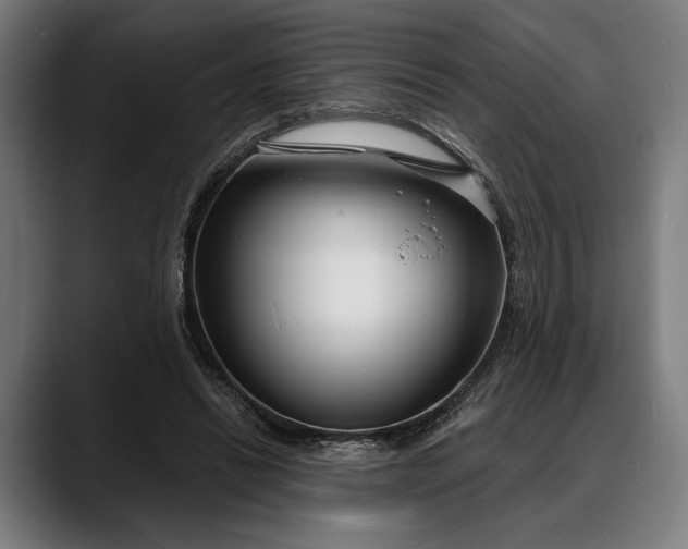 X0000088080446200705251411
