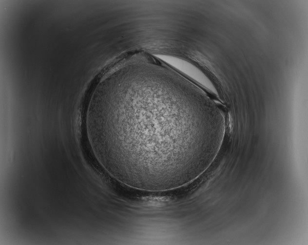 X0000088080448200705251411