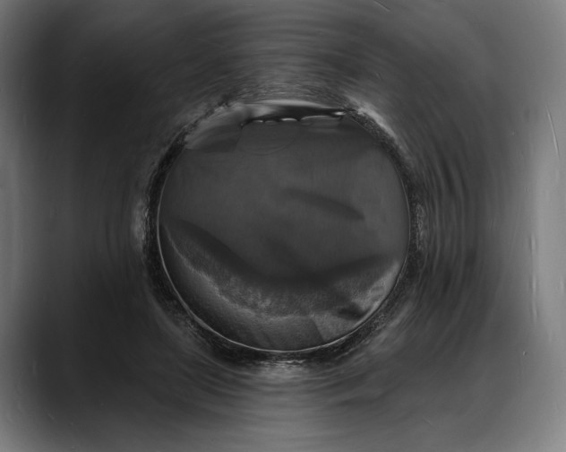 X0000088080451200705251411