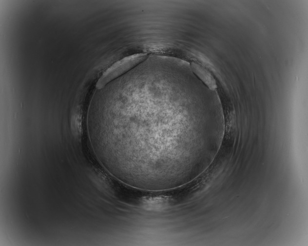 X0000088080452200705251411