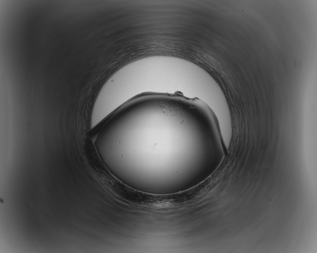 X0000088080456200705251412