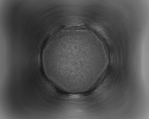 X0000088080457200705251412