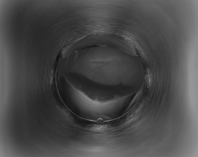 X0000088080458200705251412
