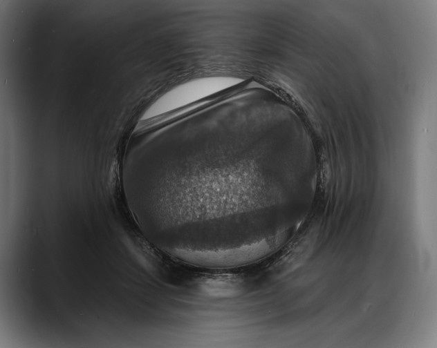 X0000088080459200705251412