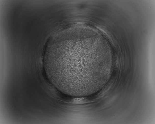 X0000088080461200705251412