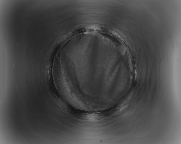 X0000088080462200705251412