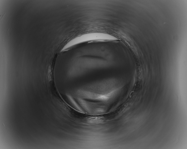 X0000088080465200705251412