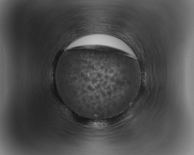 X0000088080466200705251412