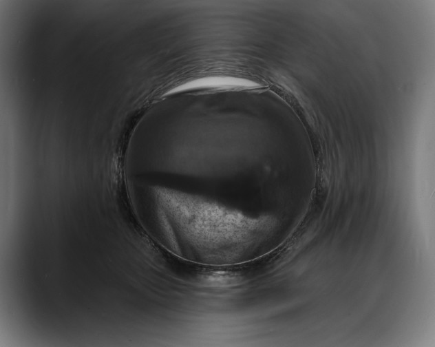 X0000088080467200705251412