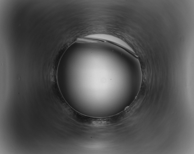 X0000088080470200705251412