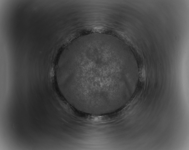X0000088080472200705251412