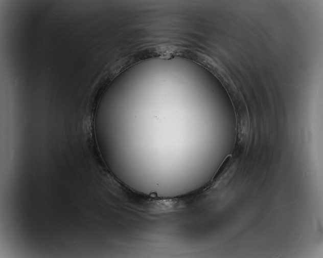 X0000088080473200705251412