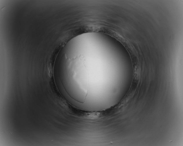 X0000088080474200705251412