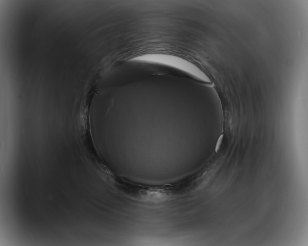 X0000088080475200705251412