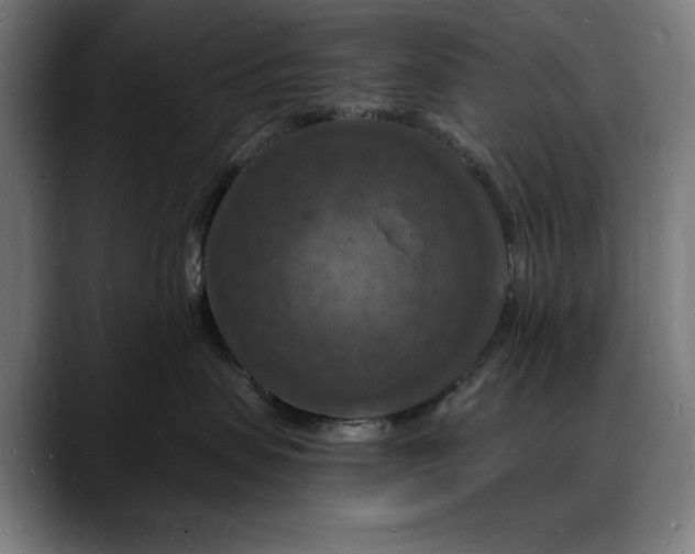 X0000088080479200705251412