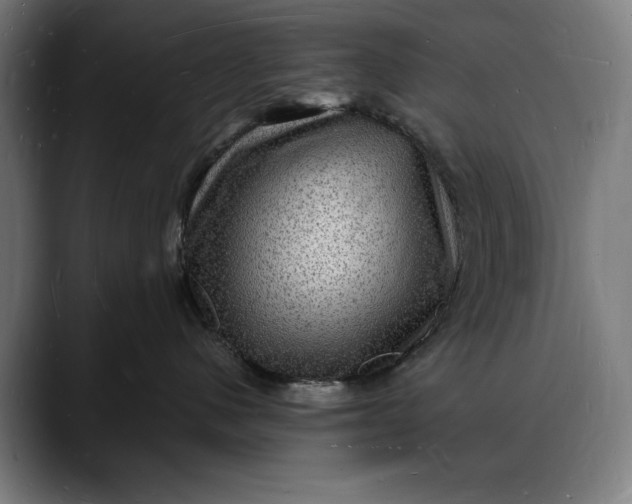 X0000088080480200705251412