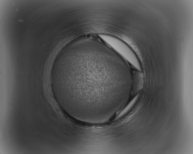 X0000088080481200705251411
