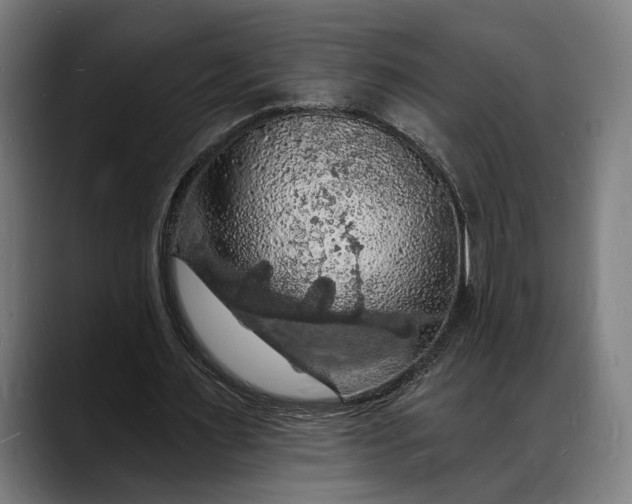 X0000088080483200705251411