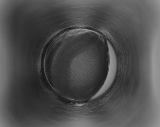 X0000088080484200705251411