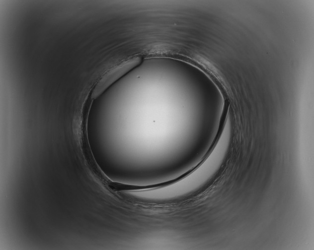 X0000088080485200705251411