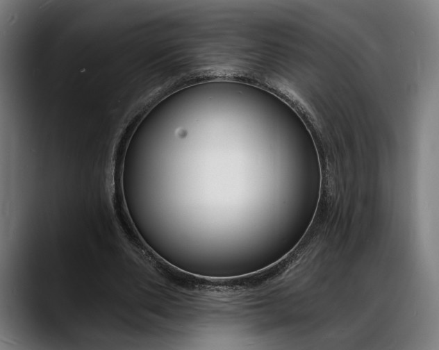X0000088080486200705251411