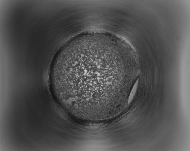X0000088080487200705251411