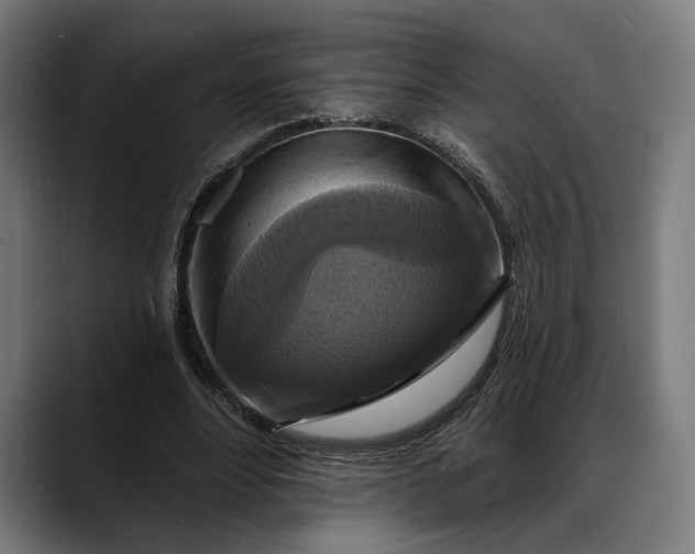 X0000088080488200705251411