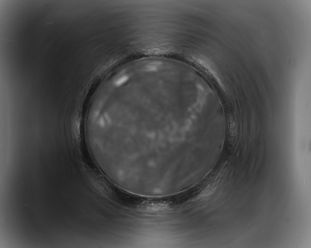 X0000088080491200705251411
