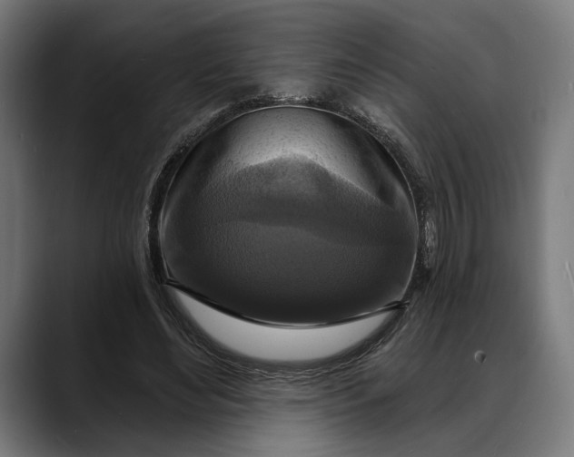 X0000088080492200705251411