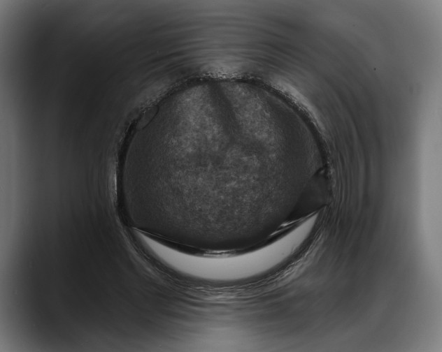 X0000088080493200705251411