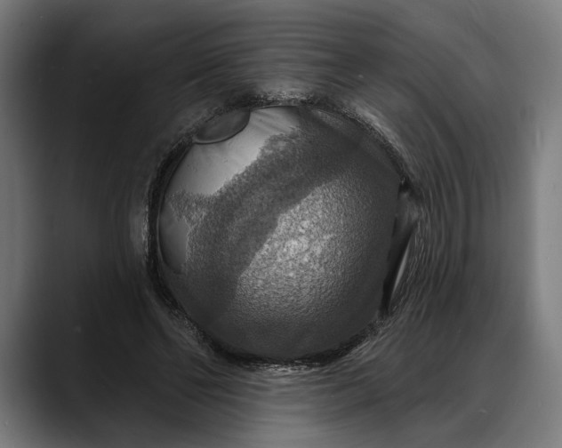 X0000088080494200705251411