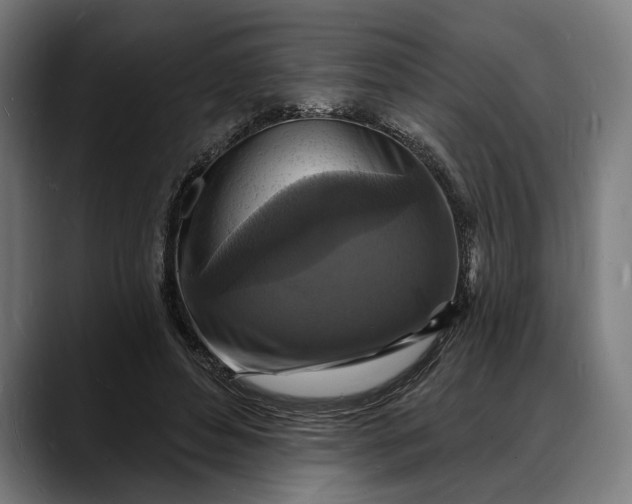 X0000088080496200705251411