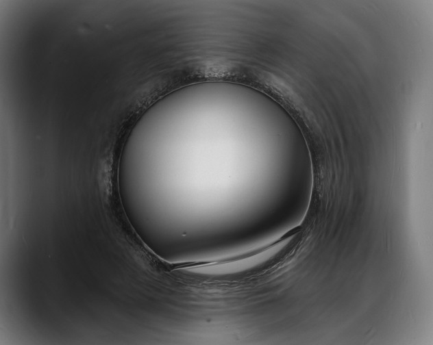 X0000088080497200705251411