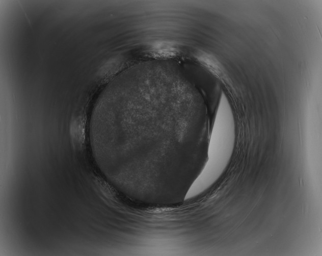 X0000088080501200705251411
