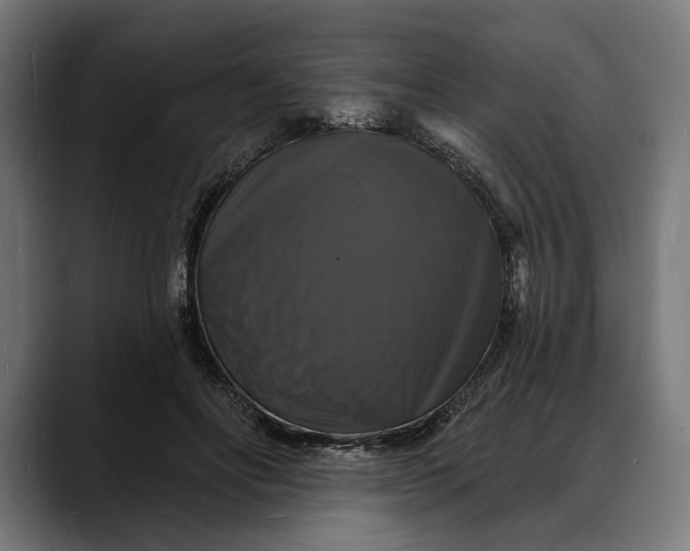 X0000088080502200705251411