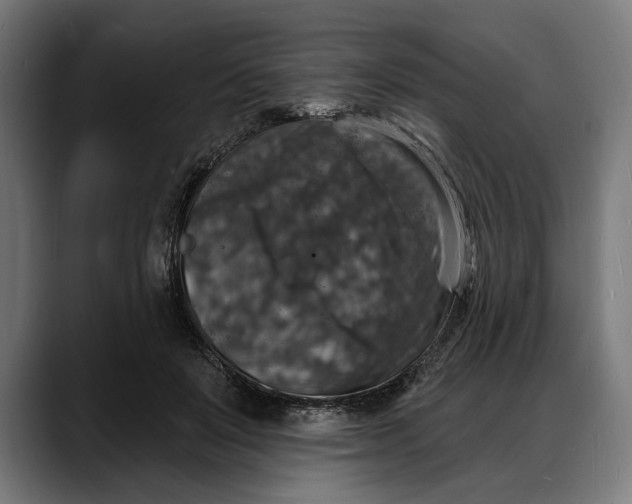 X0000088080503200705251411
