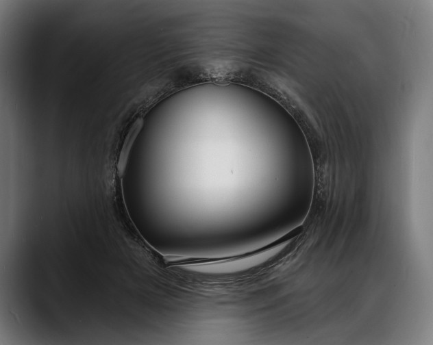 X0000088080505200705251411