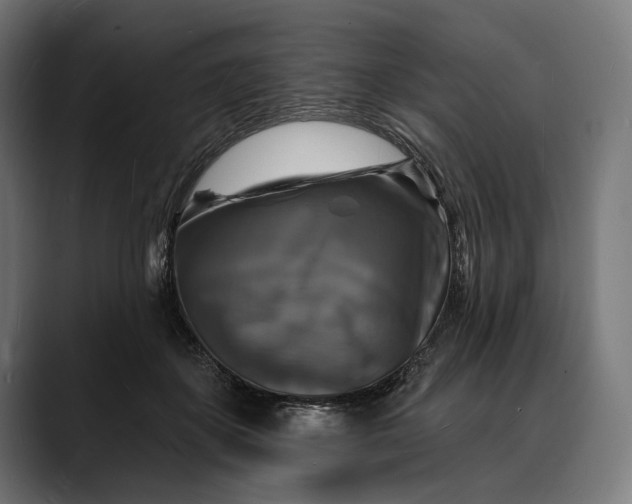 X0000088080507200705251411