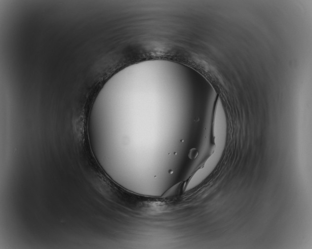 X0000088080509200705251411
