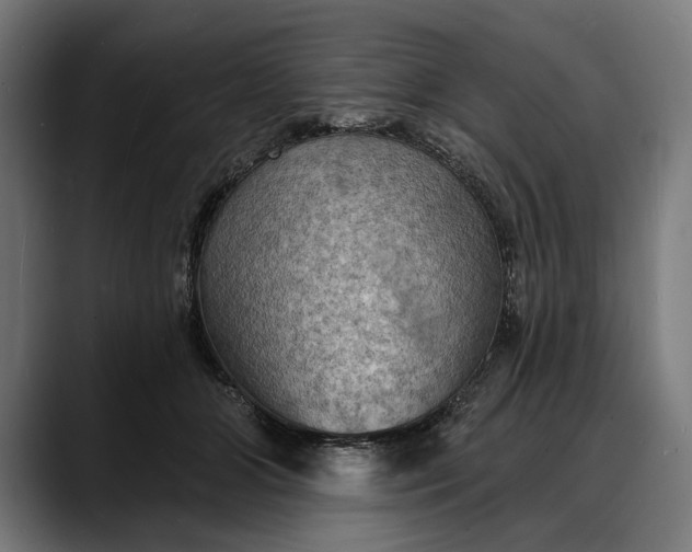 X0000088080510200705251411