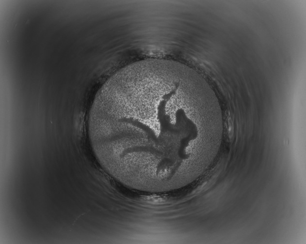 X0000088080511200705251411