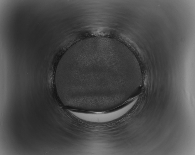 X0000088080513200705251411