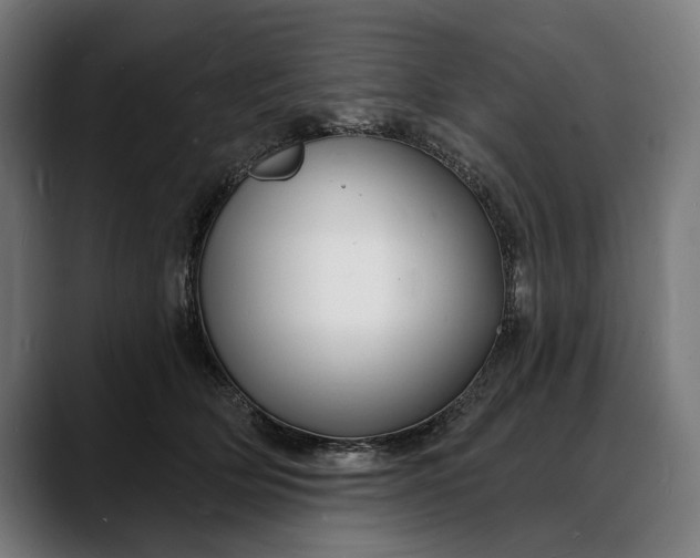 X0000088080514200705251411