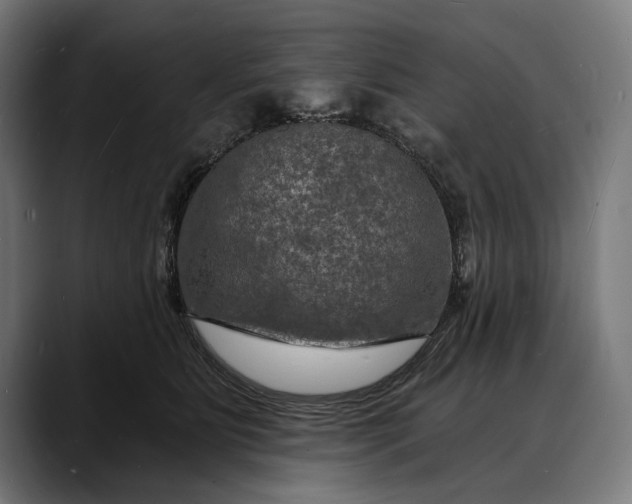 X0000088080515200705251411