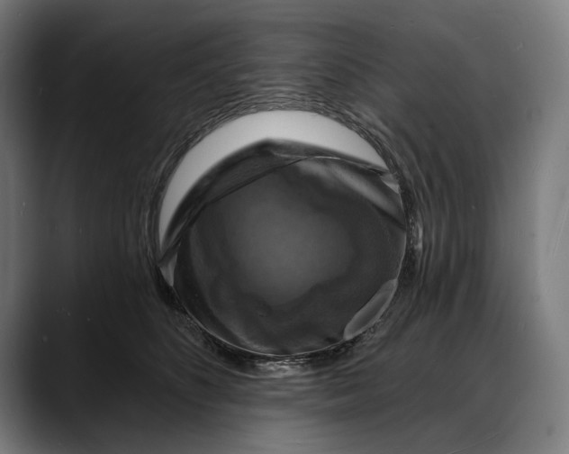 X0000088080516200705251411